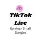 TikTok Live - Earrings Small Dangles